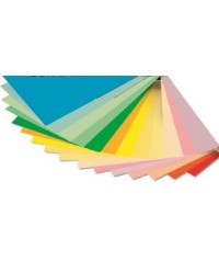 Paquete surtido folios colores pálidos Din-A4 Paperline.