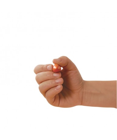 Ceras dacstrix triangulares