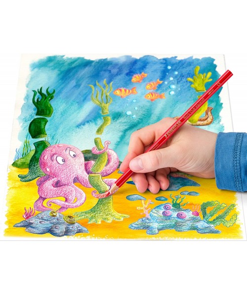 Lápices acuarelables 24 unidades 2